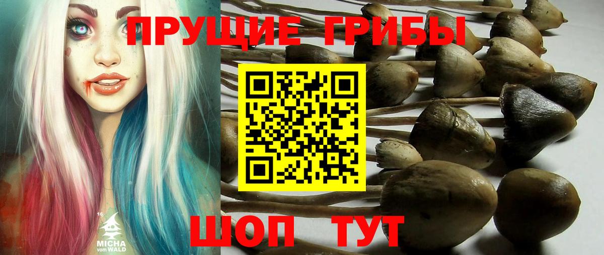 Мефедрон   Нижнеудинск  Марихуана  Купить  Гашиш  Вход с VPN 
